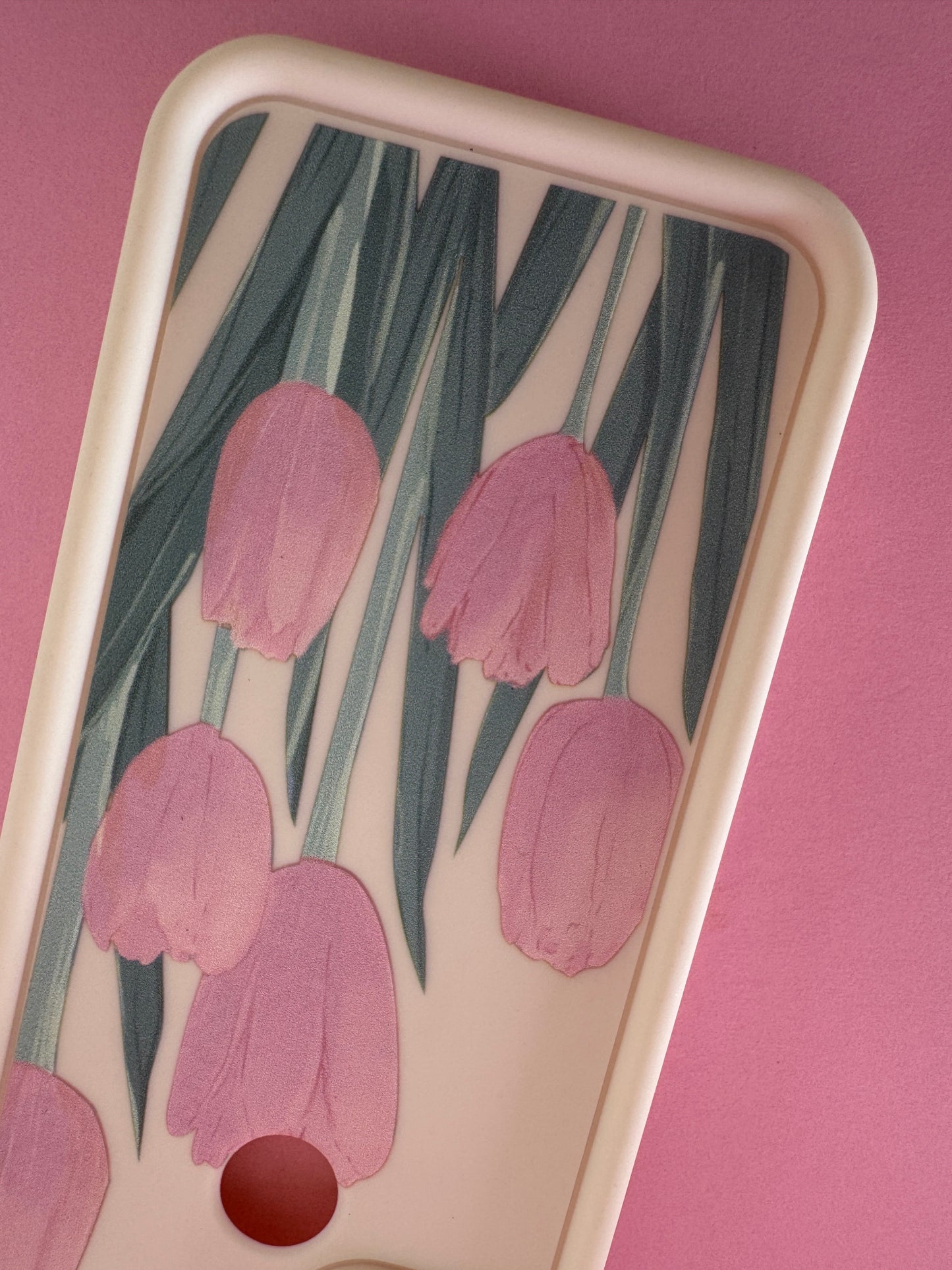 Tulipan